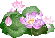 http://www.tairomdham.net/image/lotus_tairomdham.gif